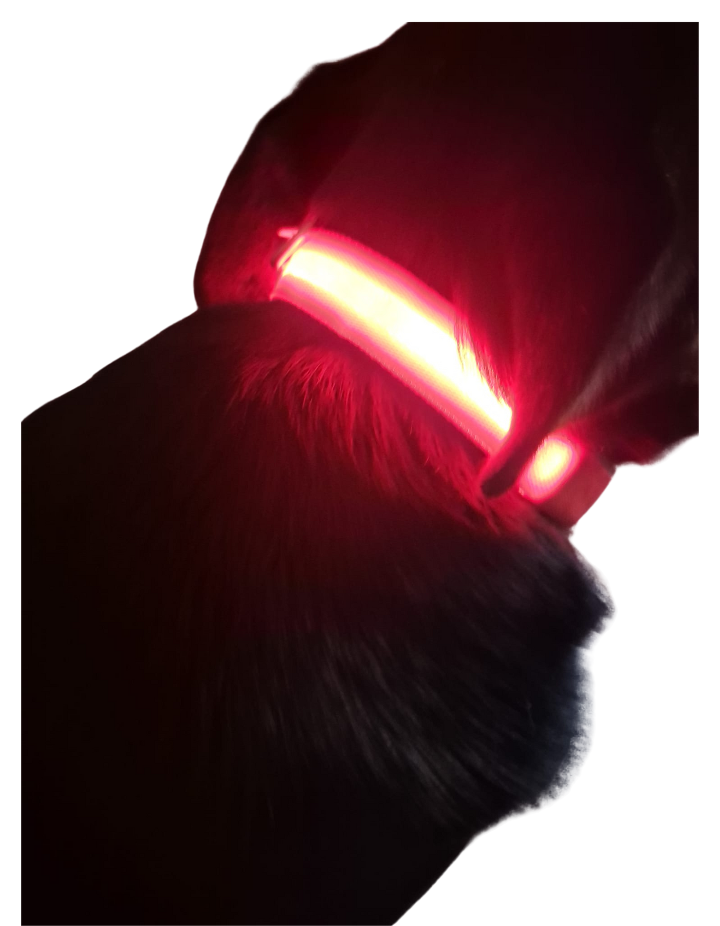 Collier Lumineux Orange