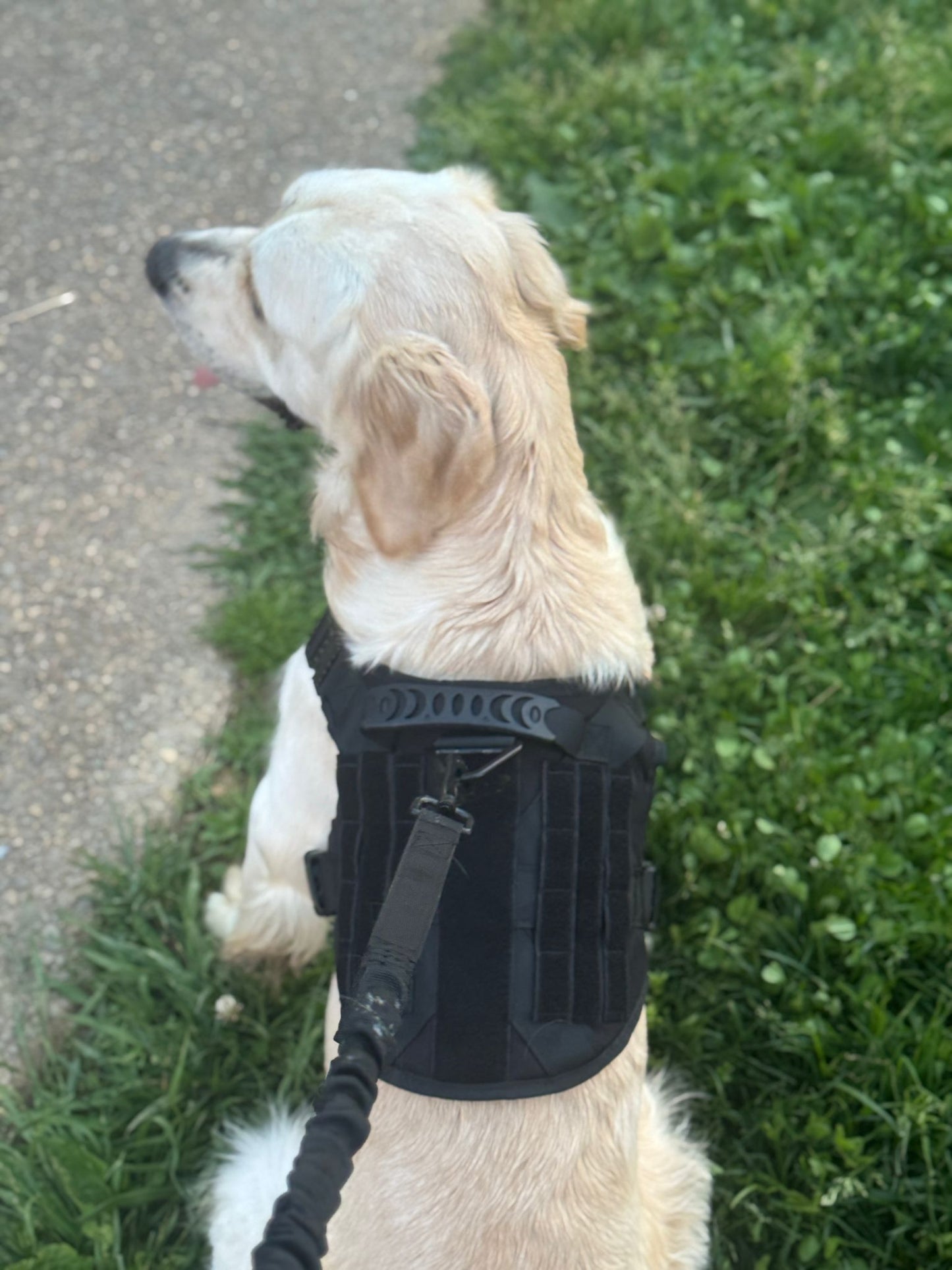 Harnais tactique 3en1