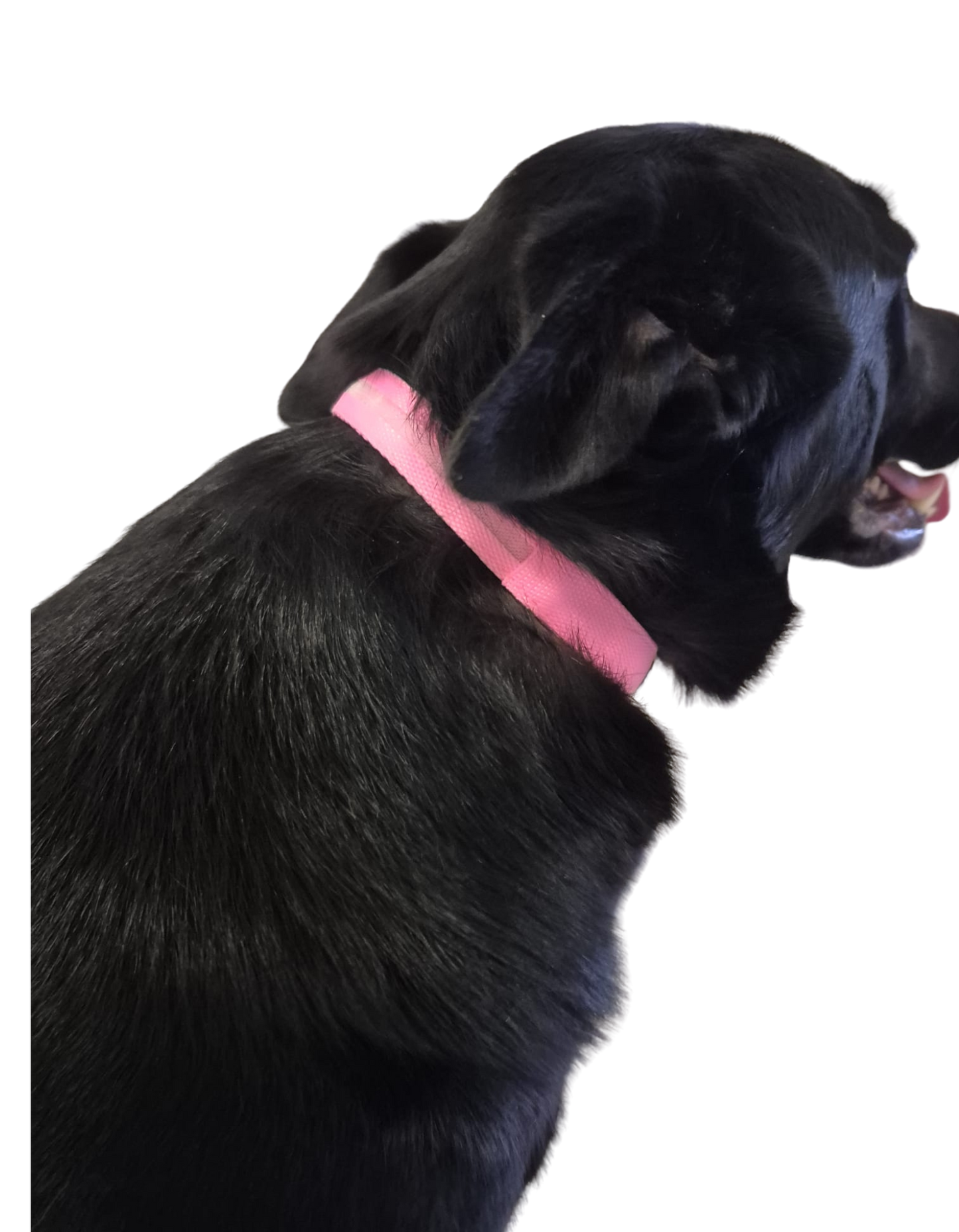 Collier Lumineux Rose