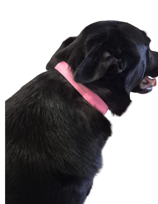 Collier Lumineux Rose