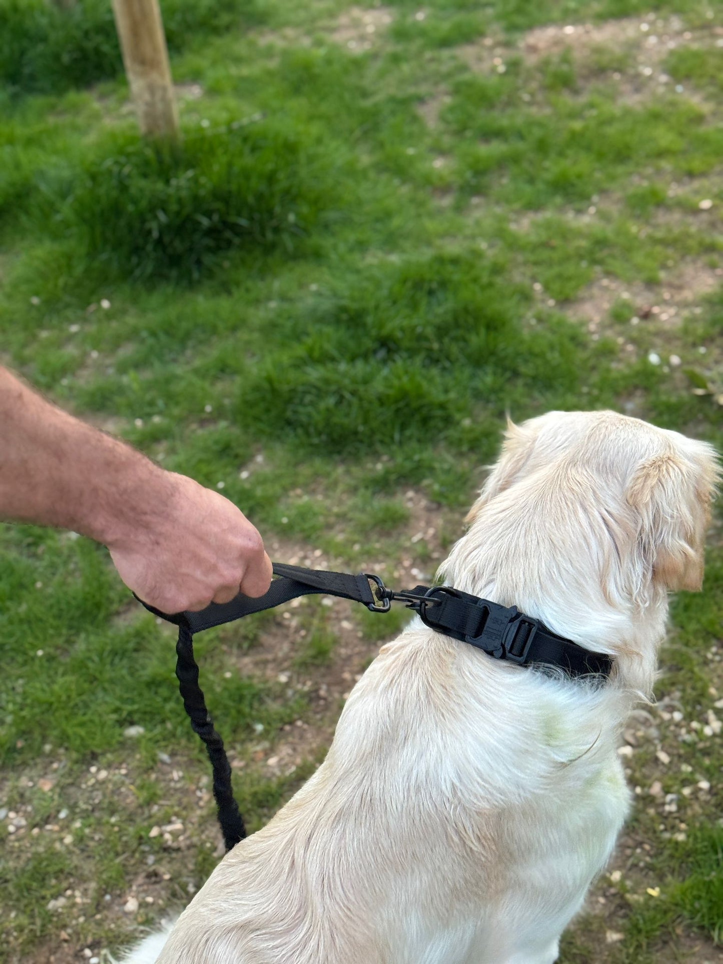 Harnais tactique 3en1