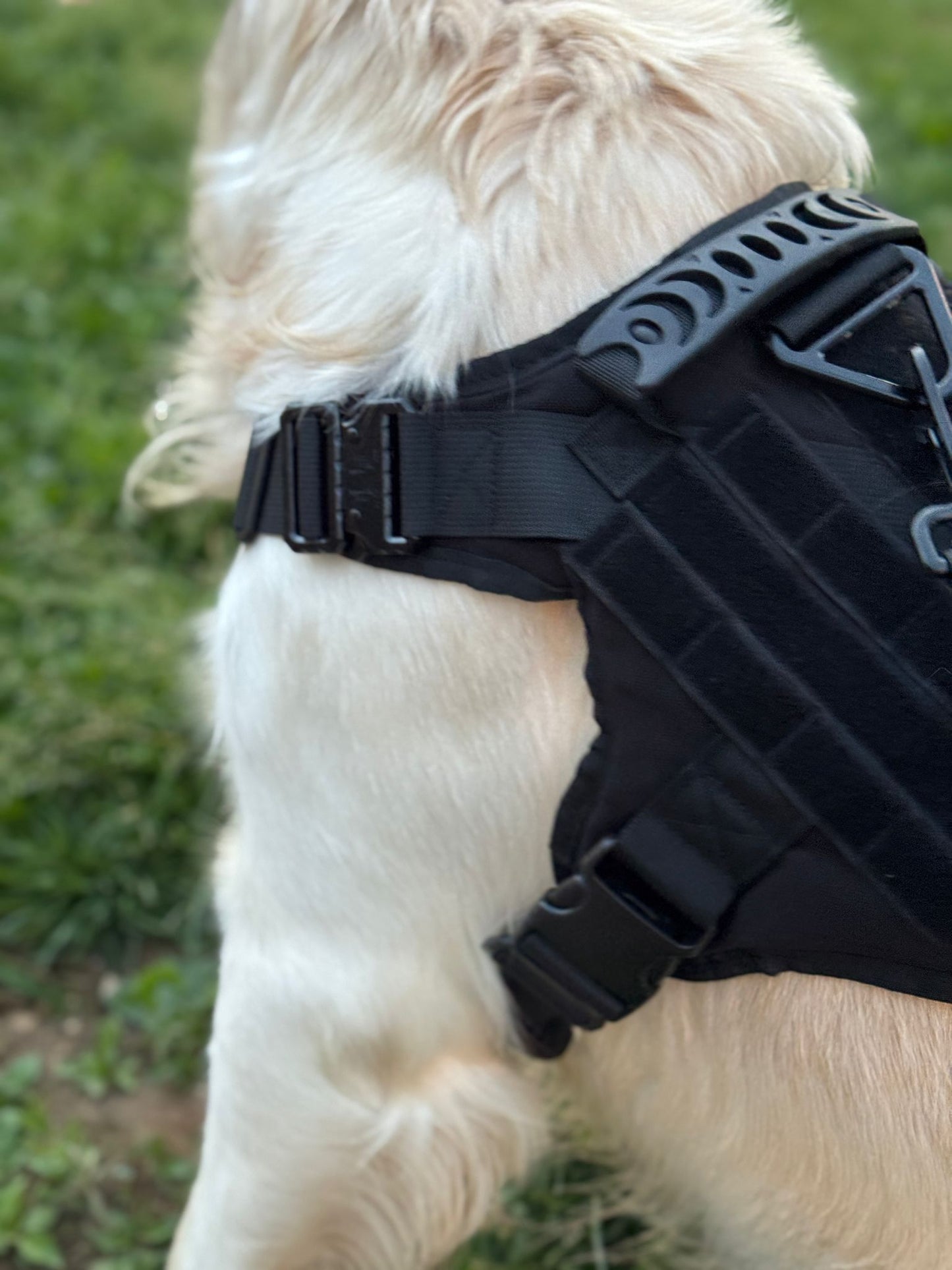 Harnais tactique 3en1