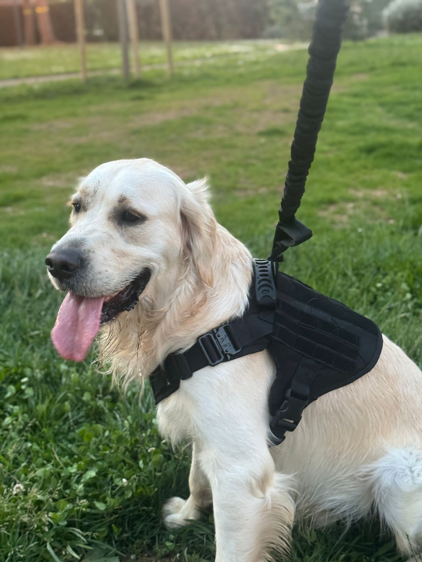 Harnais tactique 3en1